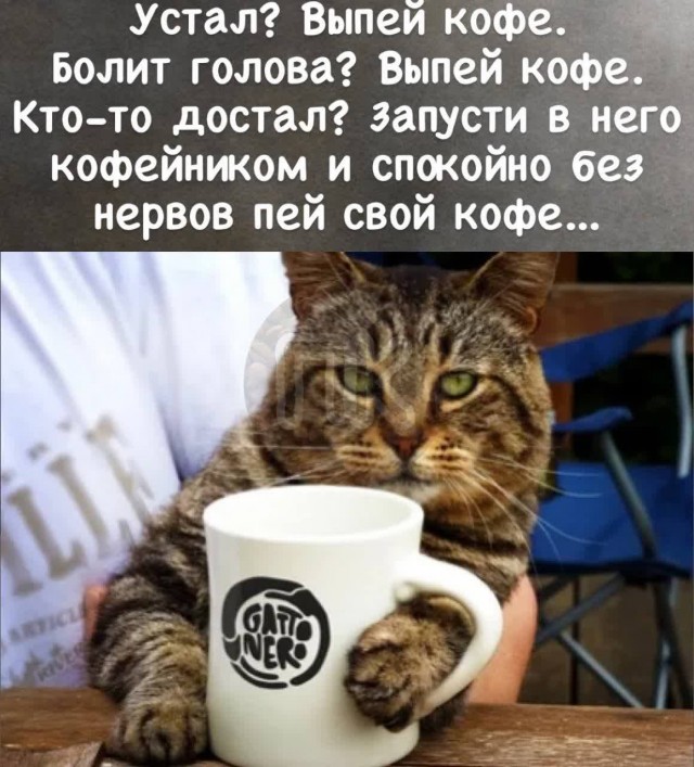 Победная поступь идиотизма по планете – том 8