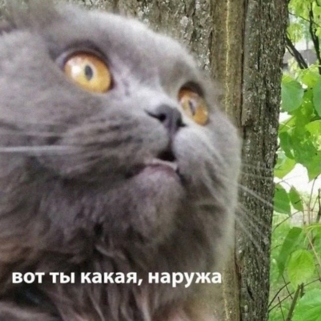Ворота в Антарктиде