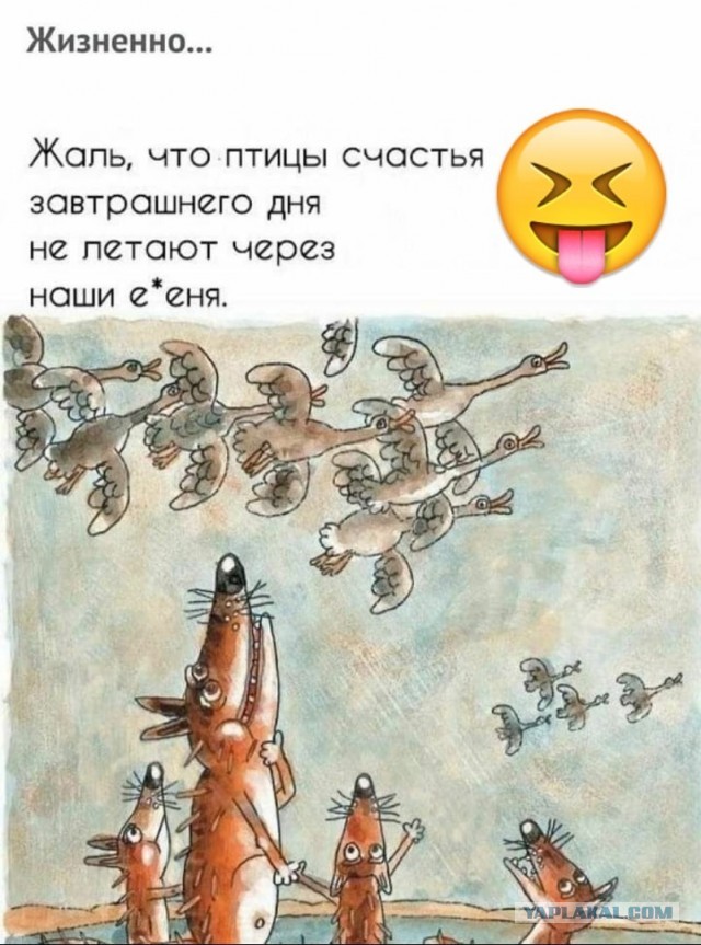 Путин заявил о небольшом снижении реальных доходов населения