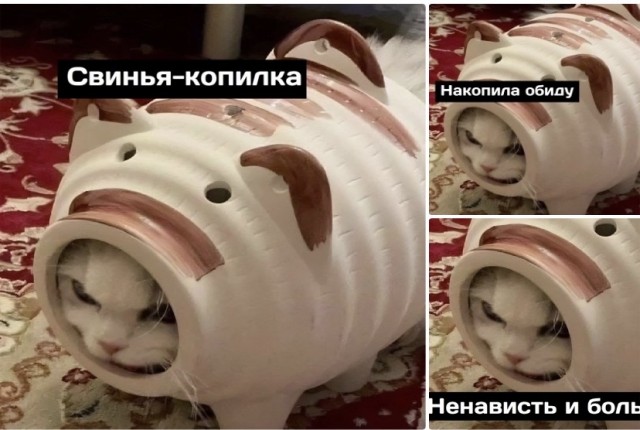 Так себе картинки 26.03.23