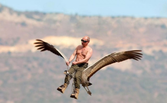 Дичь