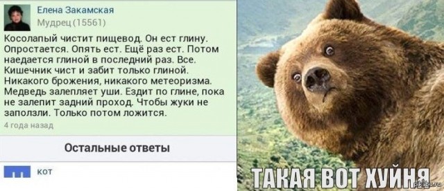 Как медведи ходят в туалет во время спячки?