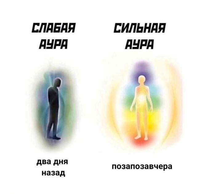 Весёлый полтишок 20.09.23