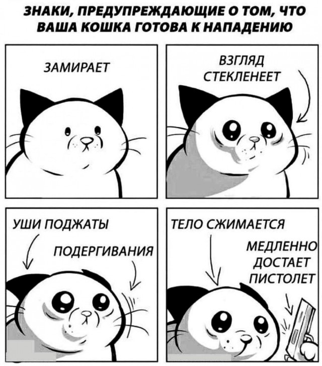 Старался без боянов
