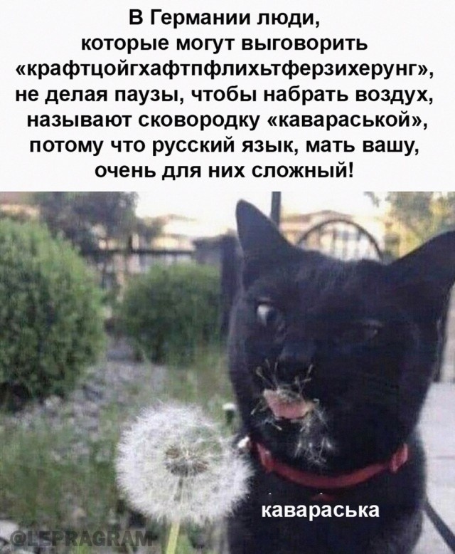 Так себе картинки 24.06.24