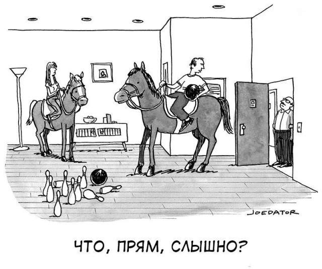 Нуштош 12.09.2024