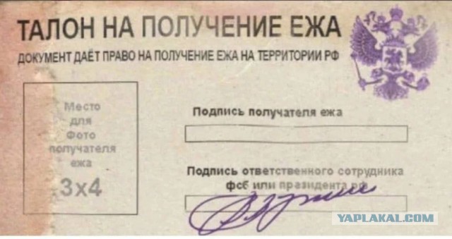 В Калининградской области начнут выдавать социальные продуктовые карты