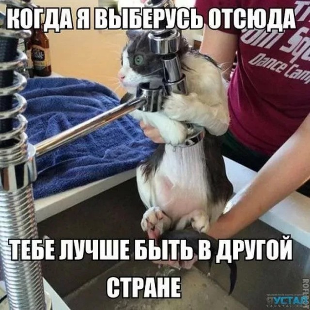 Что-то много грустного стало на Япе, может улыбнет?