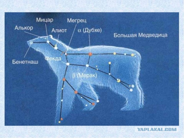 Веселые картинки в понедельник (17.02)