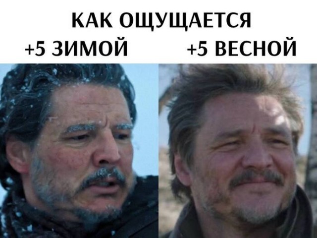 Завалялось тут случайно немного забавных картинок