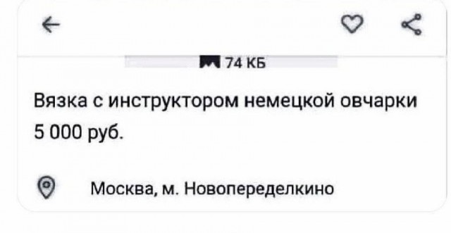 10 картинок падонгам для вечернего настроения