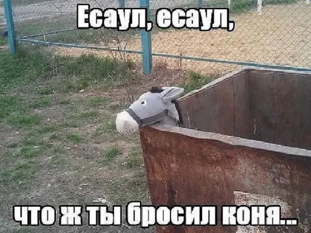 Так себе картинки 26.06.25