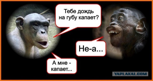 Жажда всё