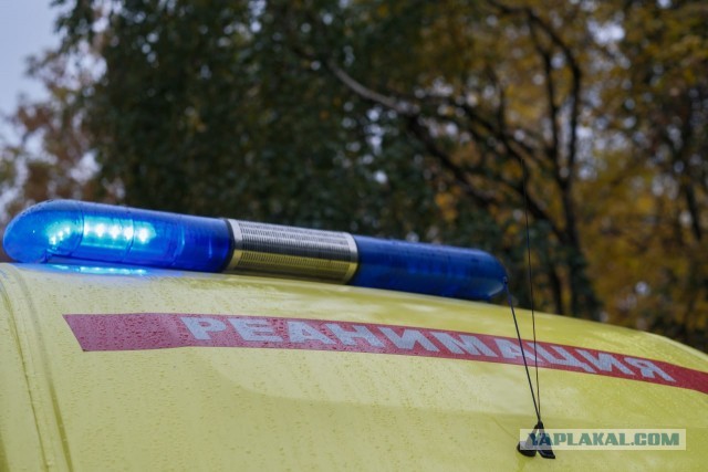 Семиклассник попал в больницу в тяжёлом состоянии после ночного катания на питбайке в Волосовском районе