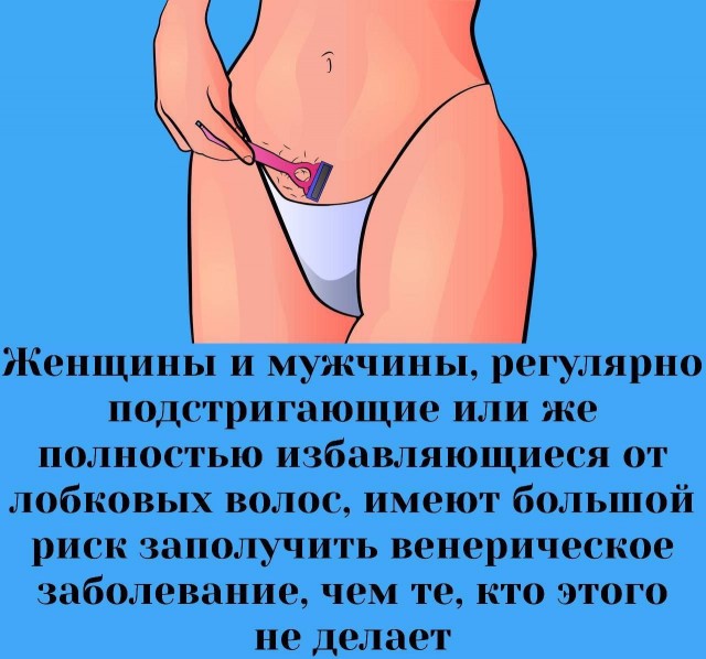 Забавные и не очень скромные картинки - 15