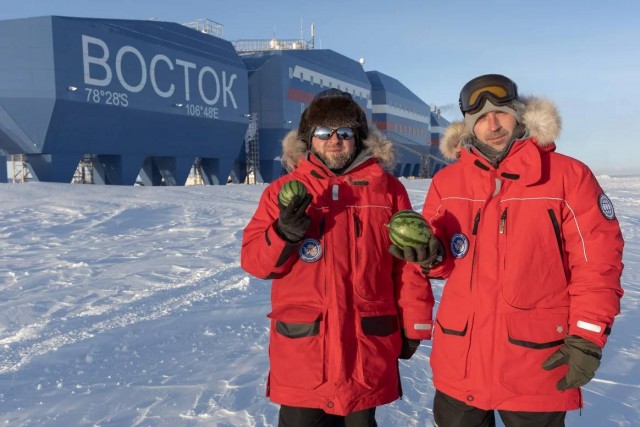 Урожайный год на арбузы выдался в Антарктиде