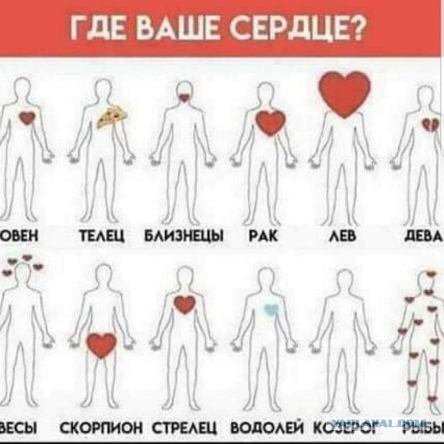 Маленькая пятница 11.11