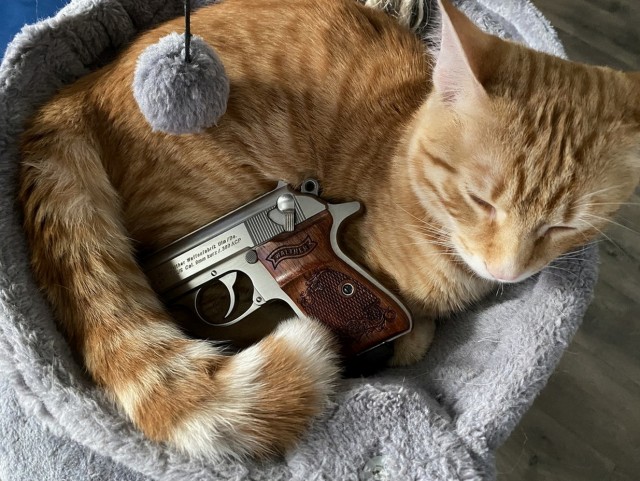 Когда ты не очень умный но настойчивый и сильный.