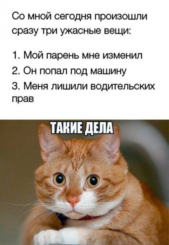 Субботние картинки