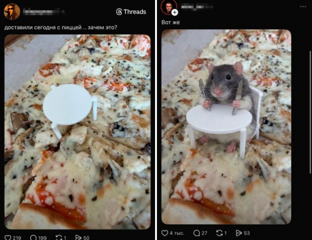 Веселые картинки в маленькую пятницу (25.02)