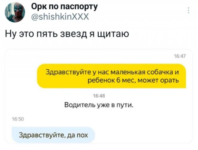 Веселые картинки в пятницу (06.03)