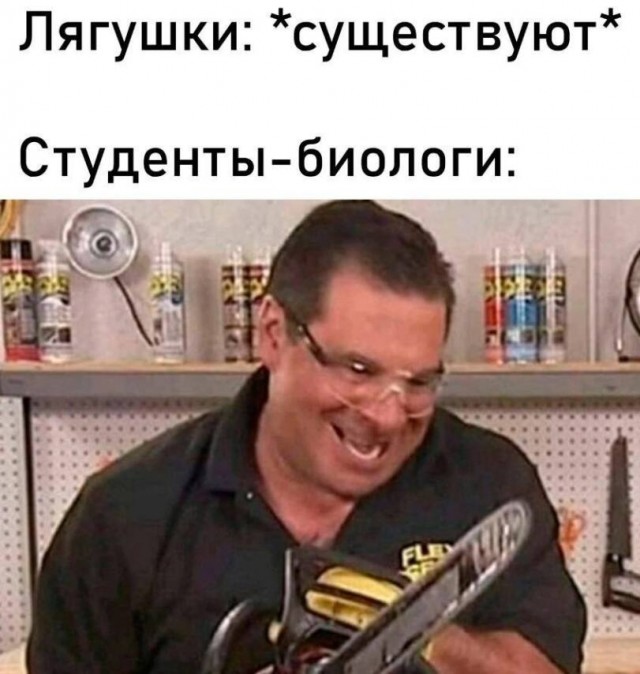 Картинки для деградации 162 (разной степени свежести)