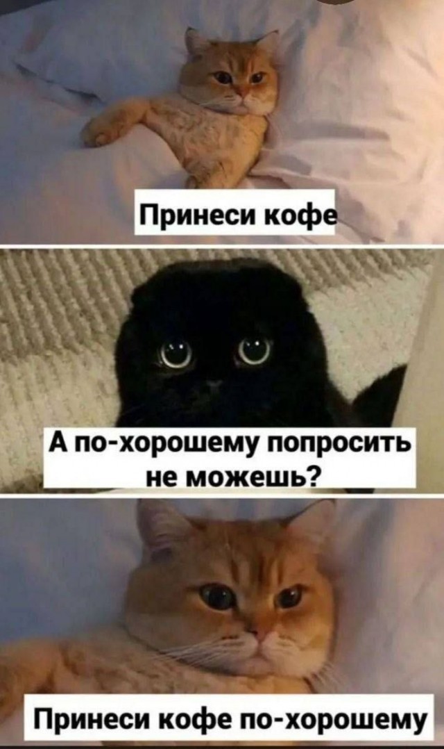 Картинки для деградации 179 (разной степени свежести)