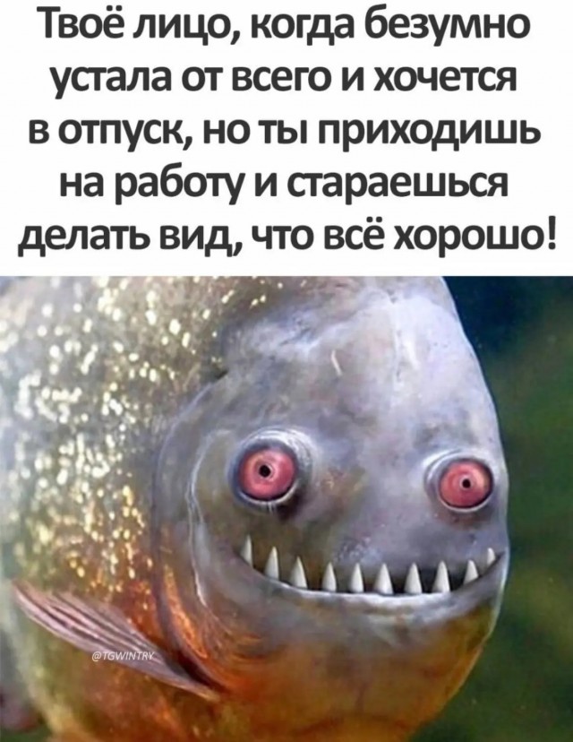 Немного юмора
