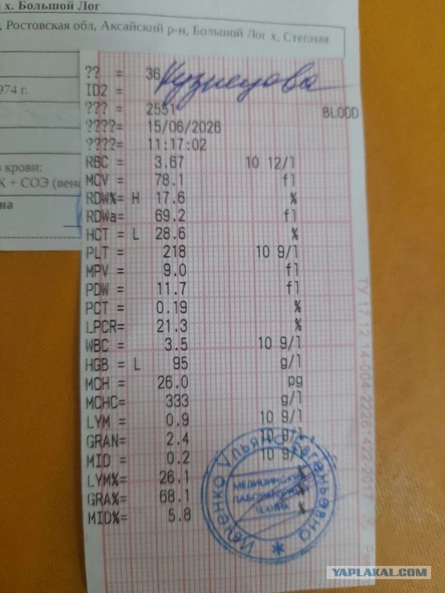 Не дать растаять Снегурчке. Нужна помощь всесильного Япа.