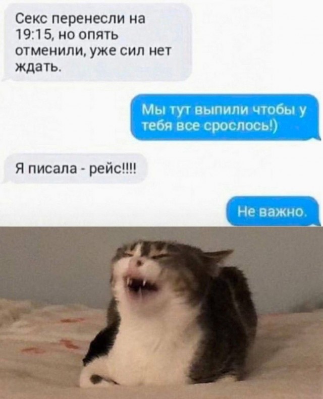 Так себе картинки 24.06.26