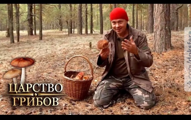 Немного о грибах