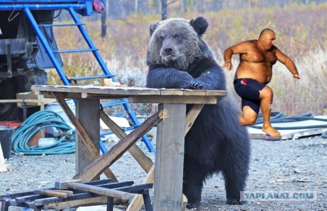 Как пушинка!