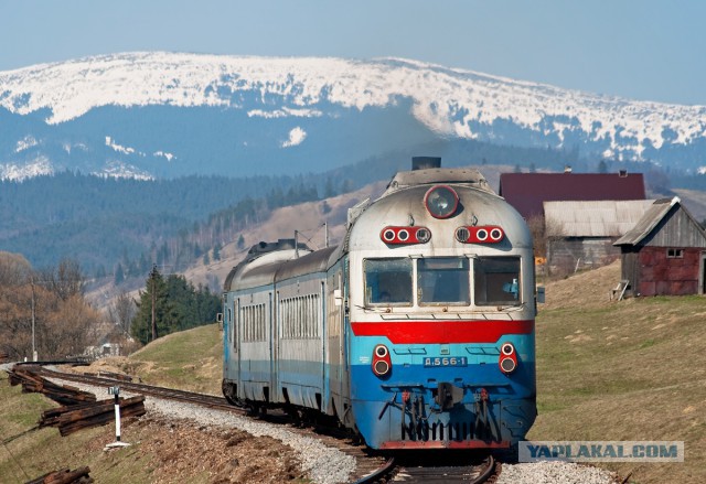 Победители фотоконкурса