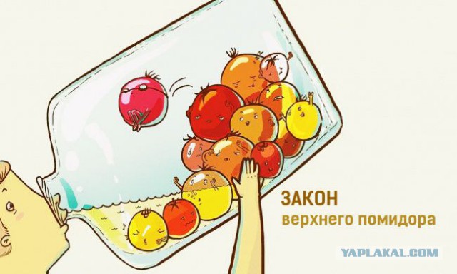 Столовые СССР и РФ
