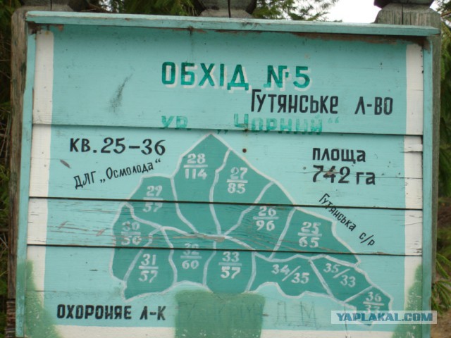 Горганы