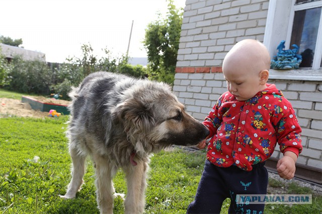 Прогулять сабакина..