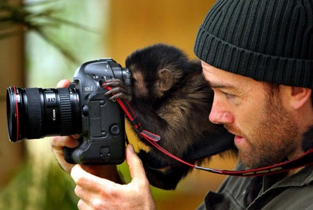 Как получаются такие фотографии