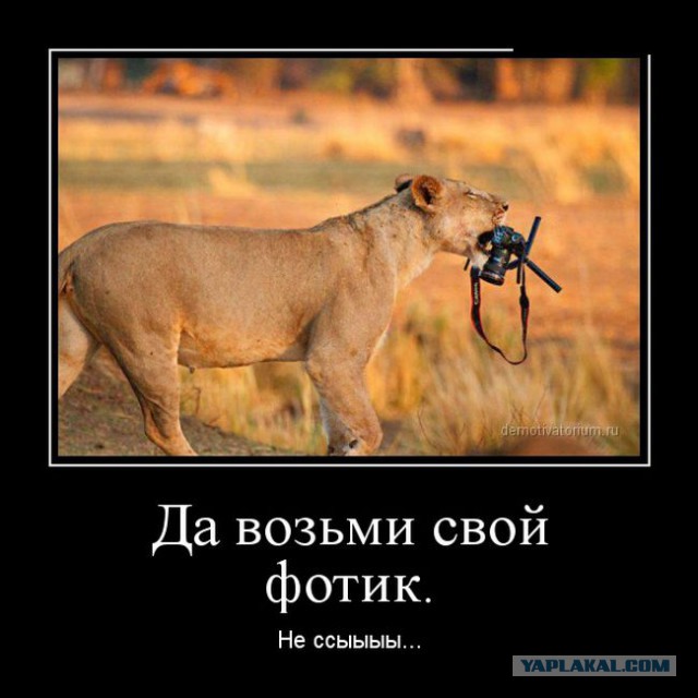 Демотиваторы вторника
