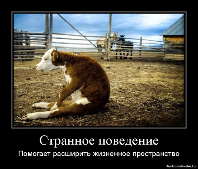 Вы хотите "демов"? часть 2-я