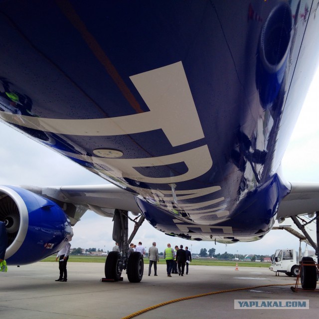 Прилет новенького Airbus 321 во Внуково