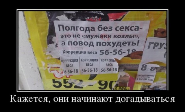 Демотиваторы