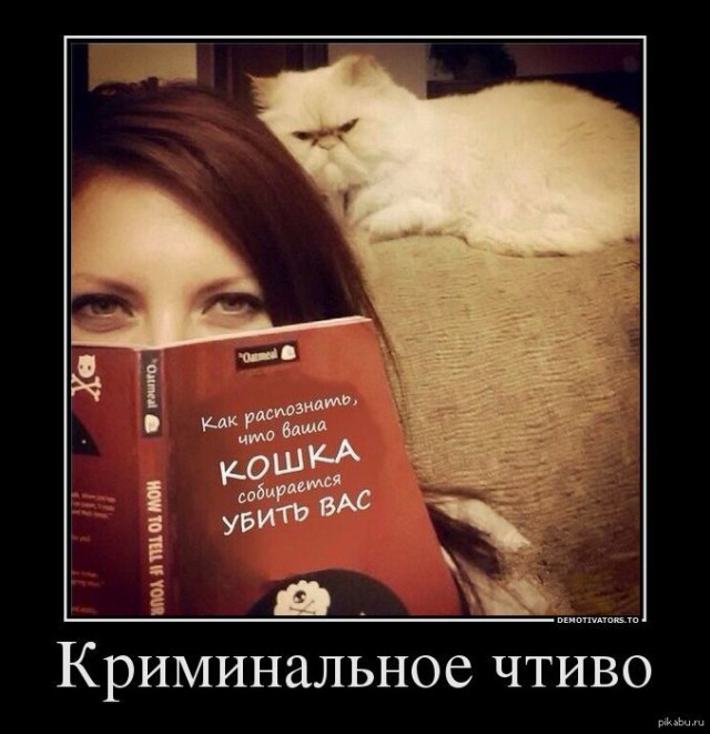 Я мог бы убить тебя прямо сейчас, но ладно, я убью тебя завтра