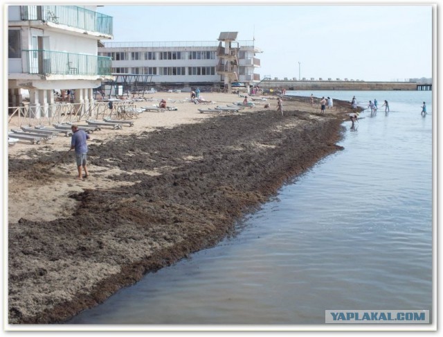 Непутёвые заметки. Поездка на Чёрное море