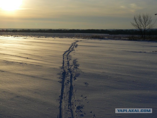 Немного моих фото, авторское