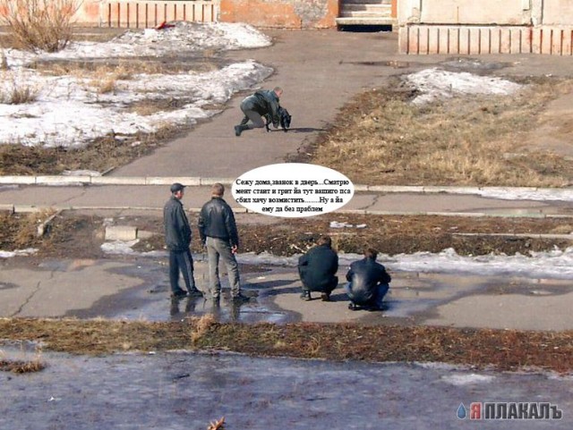 Фотожаба: гоп-стоп