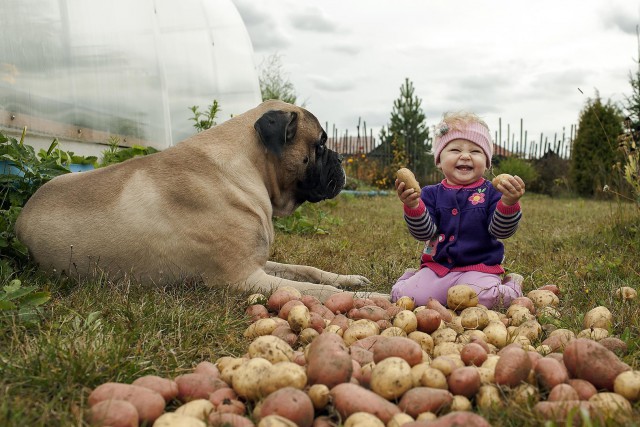 Родители оставили младенца с собакой. Вернувшись, они обнаружили это…