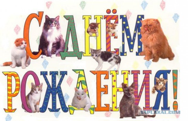 С Днем Рождения, ЯП! 12 лет