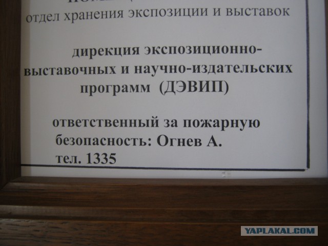 Весёлые картинки