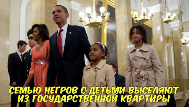 Весёлые картинки