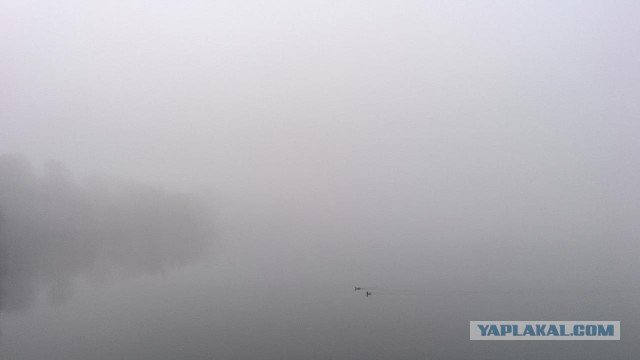 Долгопрудный (фото)